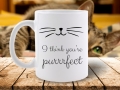CANA MESAJ I THINK YOU'RE PURRRFECT