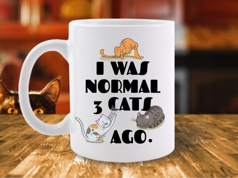Cana Mesaj I Was Normal 3 Cats Ago
