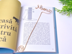 SEMN DE CARTE PISICA