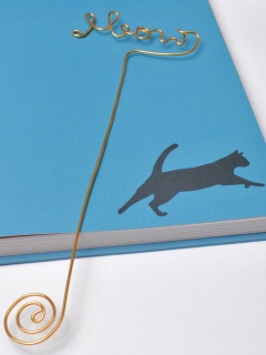 SEMNA DE CARTE PISICA 3a