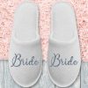 PAPUCI MIREASA BRIDE ARGINTIU