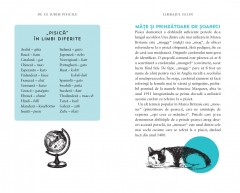 De ce iubim pisicile 4