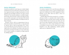 De ce iubim pisicile 5