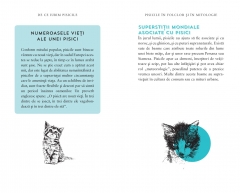 De ce iubim pisicile 6