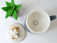 CANA CU CAPAC SI INFUZOR CALI DETALIU