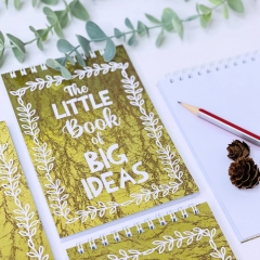 CADOU CRACIUN DETALIU CARNETEL