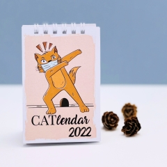 CADOU CRACIUN DETALIU CATLENDAR