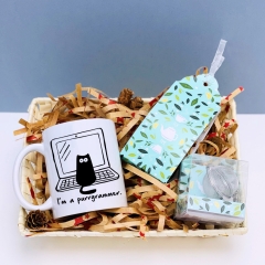 CADOU CRACIUN DETALIU PURRGRAMMER v2