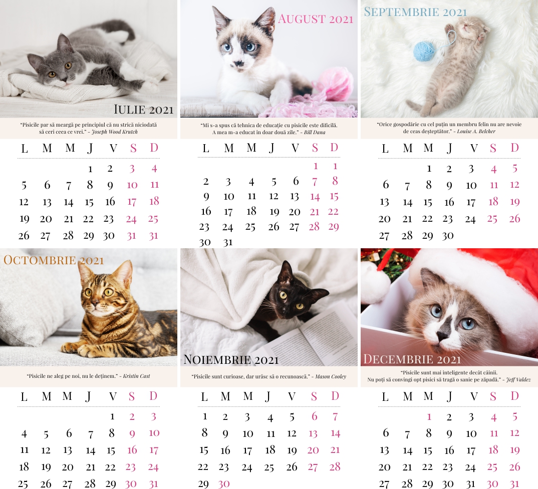 calendar tehnic pentru opțiuni