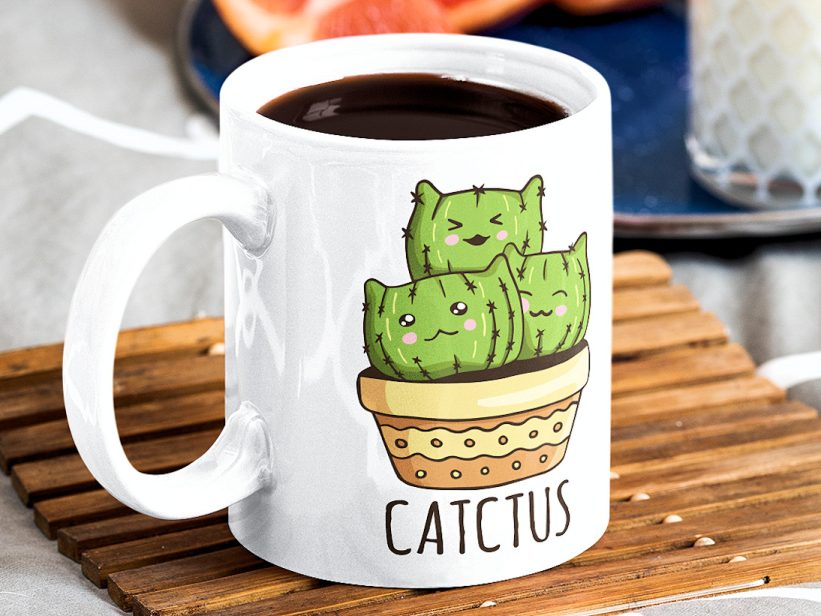 Cana Pisici Catcus