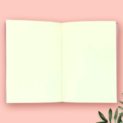 AGENDA MA DOARE LA BASCA INTERIOR