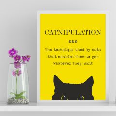 TABLOU CU PISICI CATNIPULATION