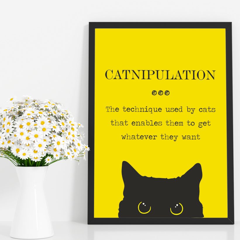 Tablou cu Pisică Catnipulation