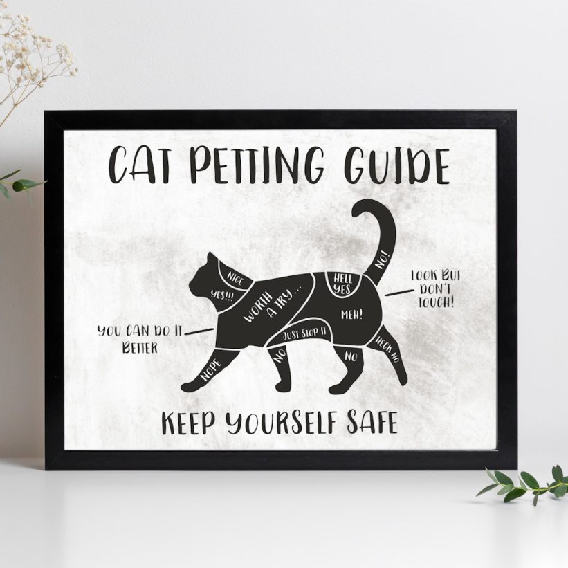 Tablou cu Pisică Cat Petting Guide