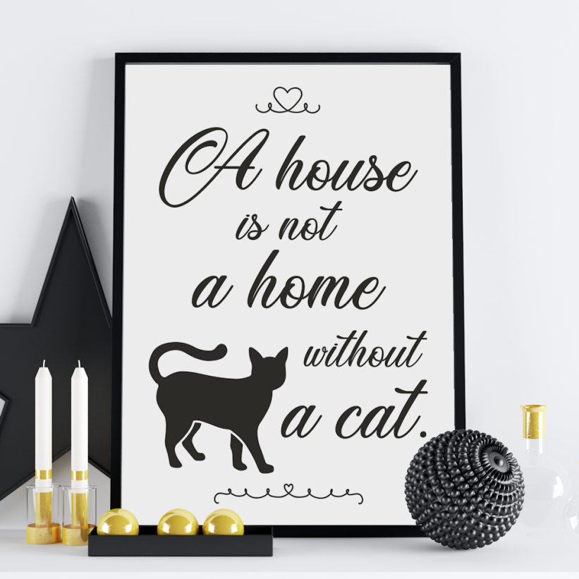 Tablou cu Pisici Not a Home