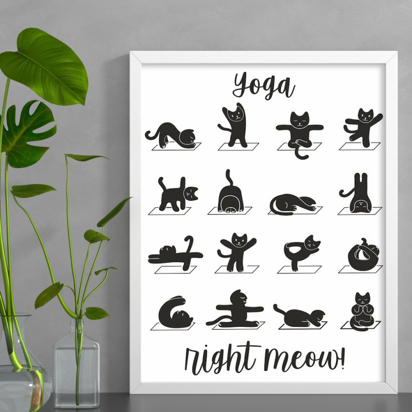 Tablou cu Pisici Yoga
