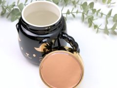 CANA PISICA CU CAPAC SI OGLINDA NEAGRA