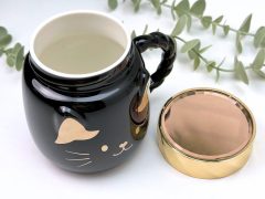 CANA PISICA CU CAPAC SI OGLINDA NEAGRA