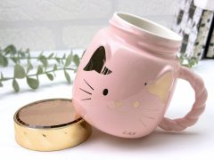 CANA PISICA CU CAPAC SI OGLINDA ROZ