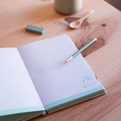 AGENDA PUFOASA PUSHEEN