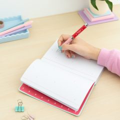 AGENDA PUSHEEN SI PIX CU PROIECTIE LOGO