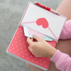 AGENDA PUSHEEN SI PIX CU PROIECTIE LOGO