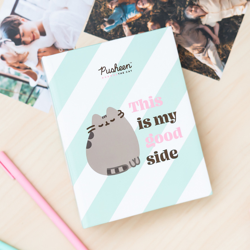 Album Foto Pusheen