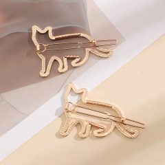 CLAMA DE PAR METALICA PISICA