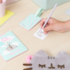 SET CALATORIE PUSHEEN