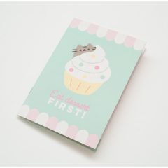 SET PENAR PUSHEEN