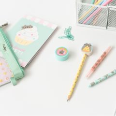 SET PENAR PUSHEEN