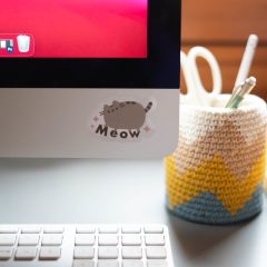 SET STICKERE PUSHEEN