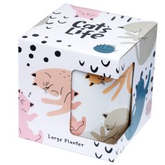 GHIVECI CU PISICI CATS LIFE