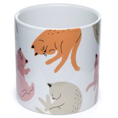 GHIVECI CU PISICI CATS LIFE