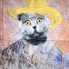 ESARFA CU PISICI ARTSY G