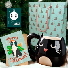 PACHET CRACIUN FELINE CHRISTMAS