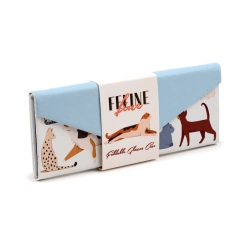ETUI OCHELARI FELINE FINE