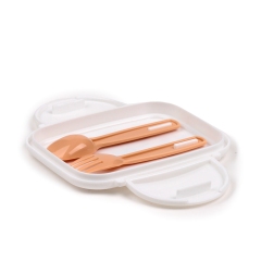 CUTIE BENTO FELINE FINE