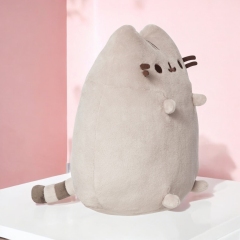 PLUS PUSHEEN CM pr