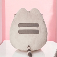 PLUS PUSHEEN CM pr