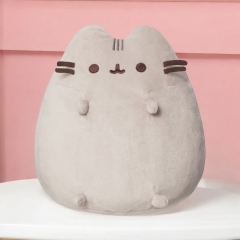 PLUS PUSHEEN CM pr