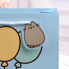 PUNGA CADOU MICA MEDIE PUSHEEN