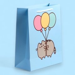 PUNGA CADOU MICA MEDIE PUSHEEN