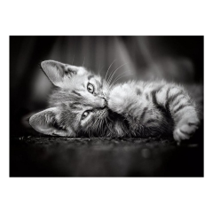 PUZZLE PIESE X KITTY ()