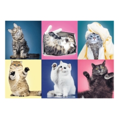 PUZZLE PIESE X KITTENS ()