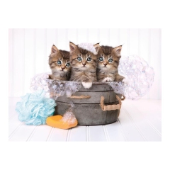 PUZZLE PIESE X KITTENS & SOAP ()