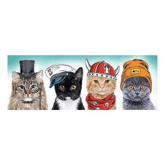 PUZZLE PIESE X FLUFFY TEAM ()